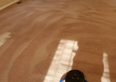 Best Carpet Cleaning Services