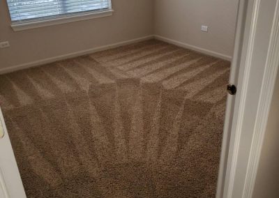 Carpet Cleaning Services13