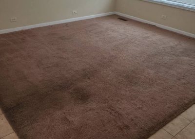 Carpet Cleaning Services14