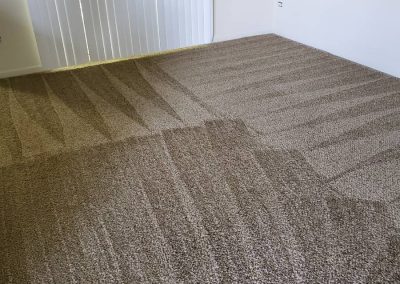 Carpet Cleaning Services16