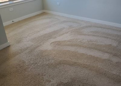 Carpet Cleaning Services2