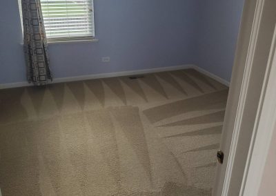 Carpet Cleaning Services7