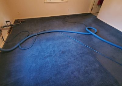 Carpet Cleaning Services8