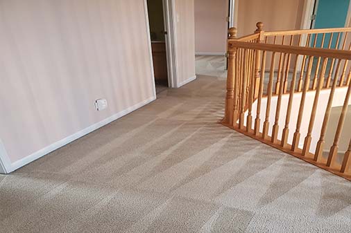 Carpet Cleaning